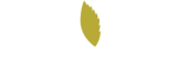 mintt-logo
